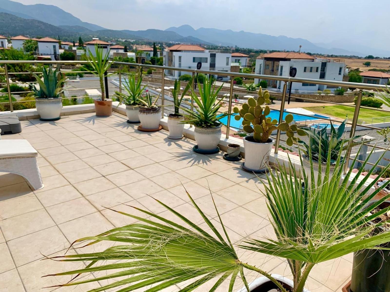Boho Bay Apartment Akanthou 外观 照片