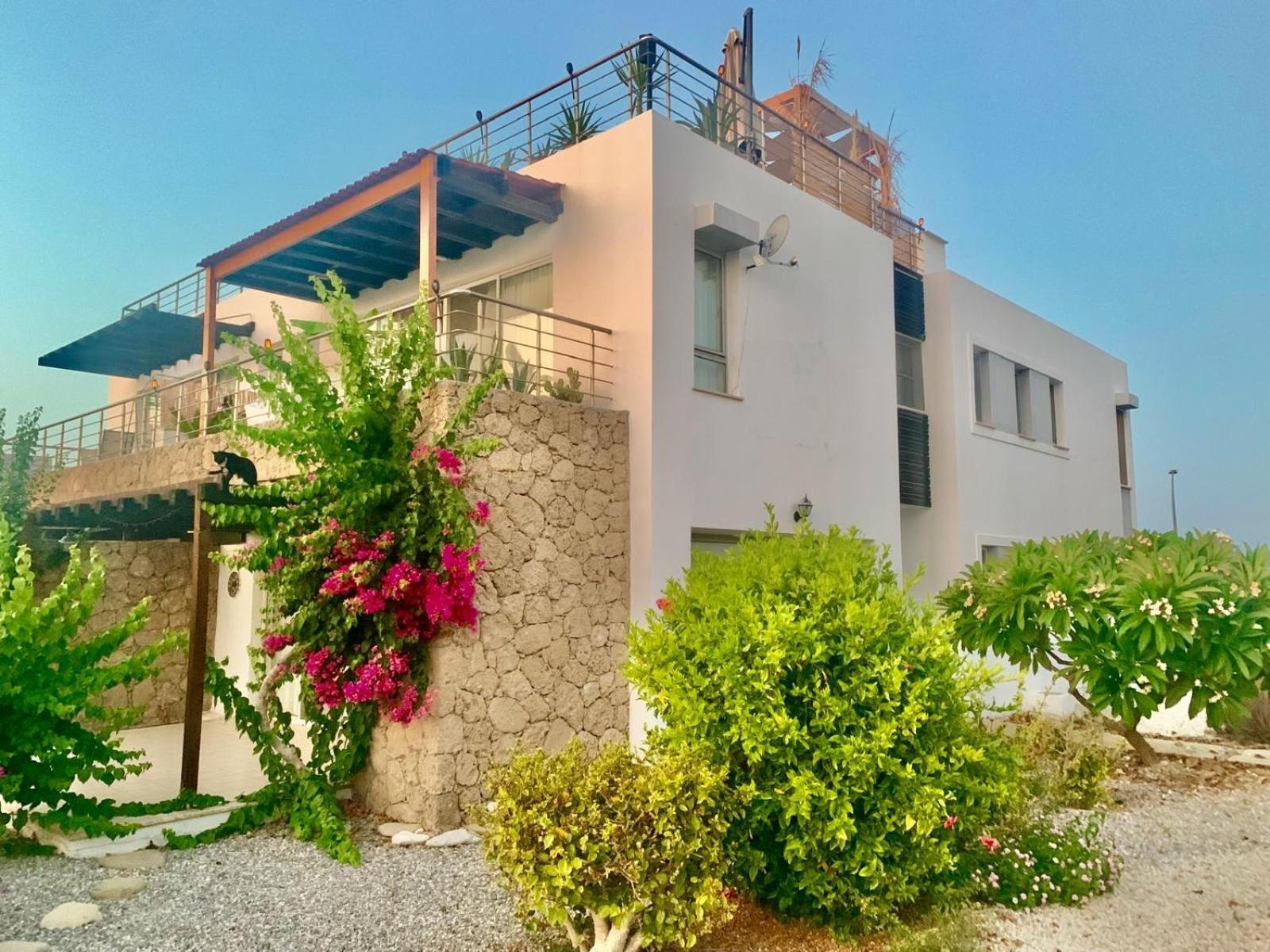 Boho Bay Apartment Akanthou 外观 照片
